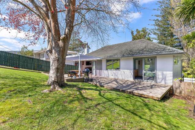 64 Taupo Street Green Bay_2