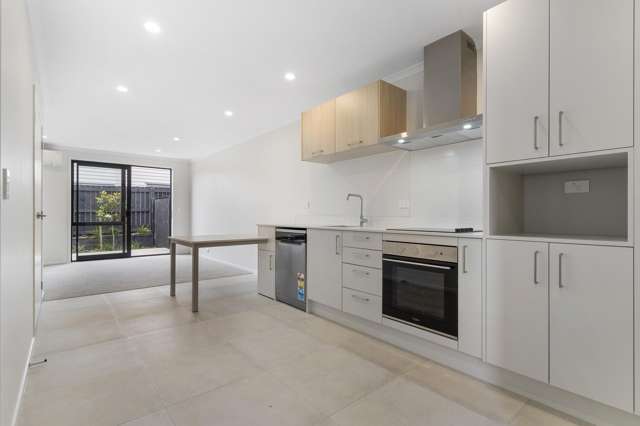 3C/492 Richardson Road Mt Roskill_3