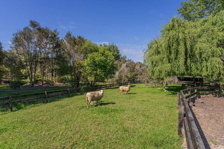 3263 Tairua-Whitianga Road Whitianga_34