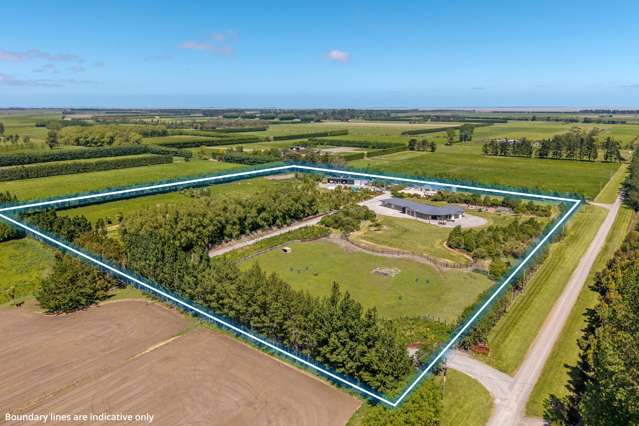 Lifestyle for all the family and more