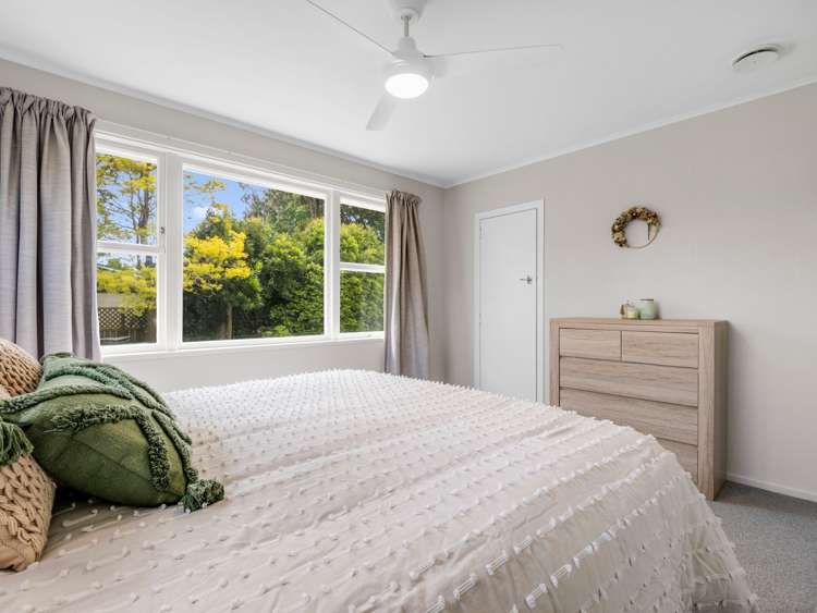 81 College Road Edgecumbe_16