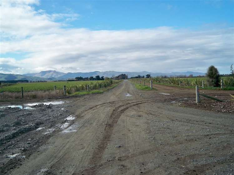 449 Greenpark Road Springston_15