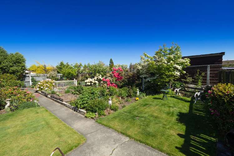 11 Windsor Street Allenton_10