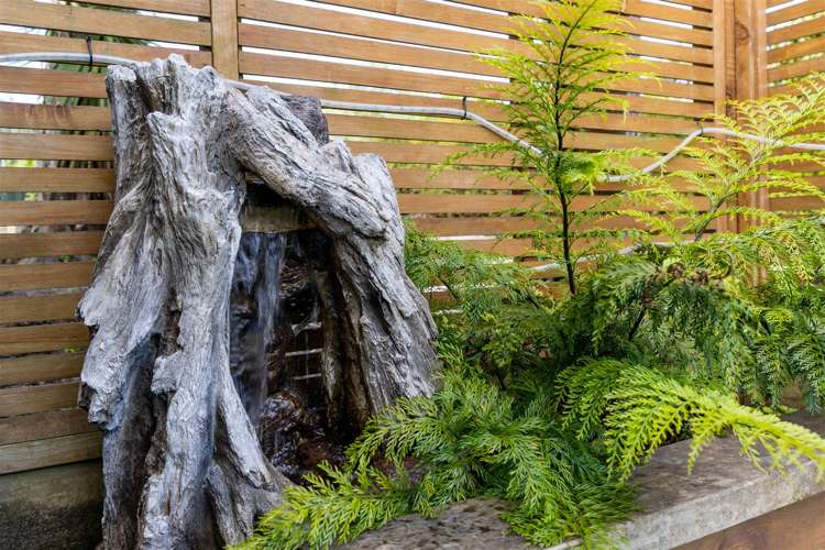 8 Titoki Street Masterton_19