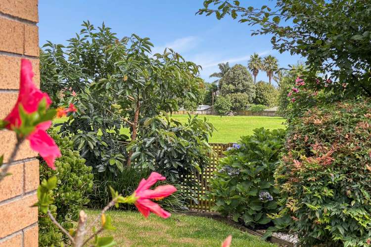 19 Castlehill Court Wattle Downs_12