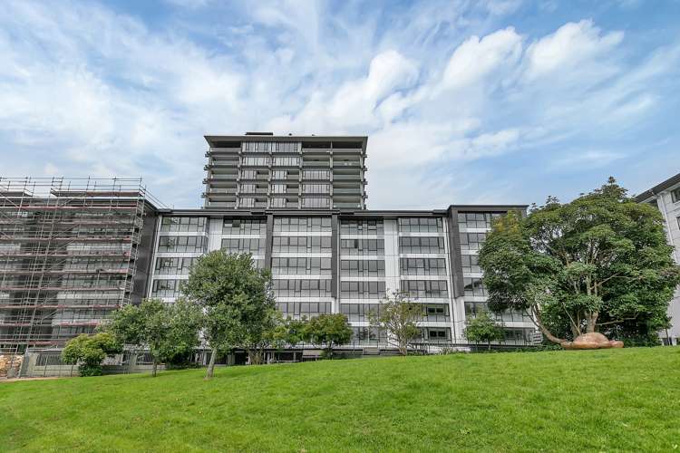 3x/16 Burton Street Grafton_12