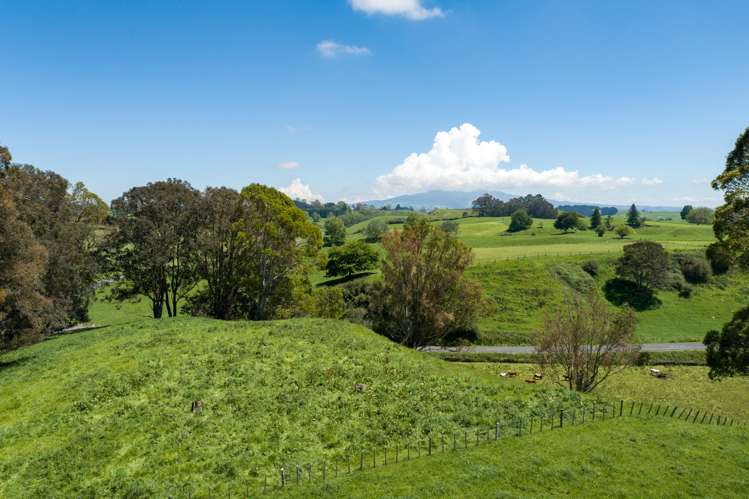 Waotu Road Putaruru_6