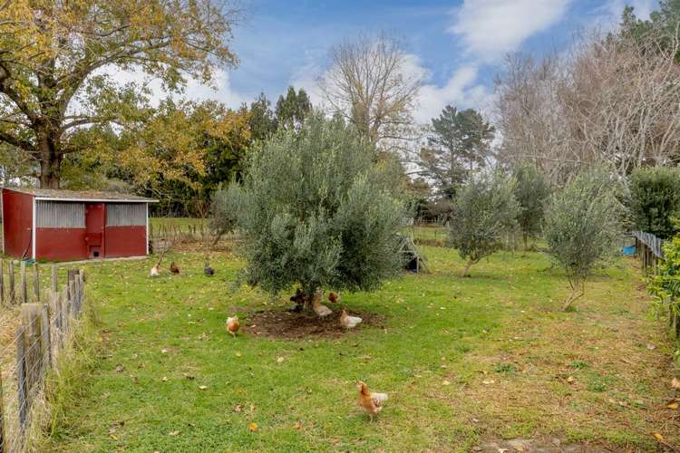 173a Belk Road South Kaimai_26