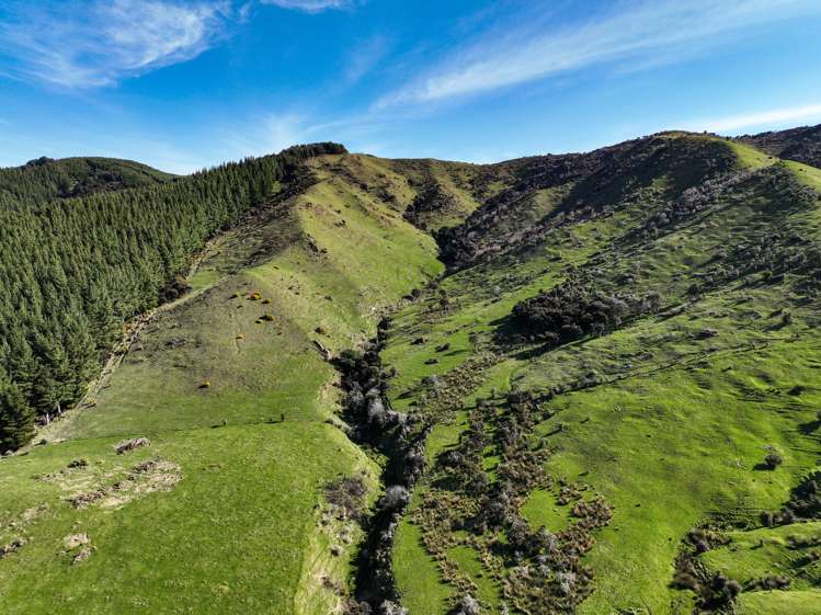 383 Lake Monowai Road Monowai_2