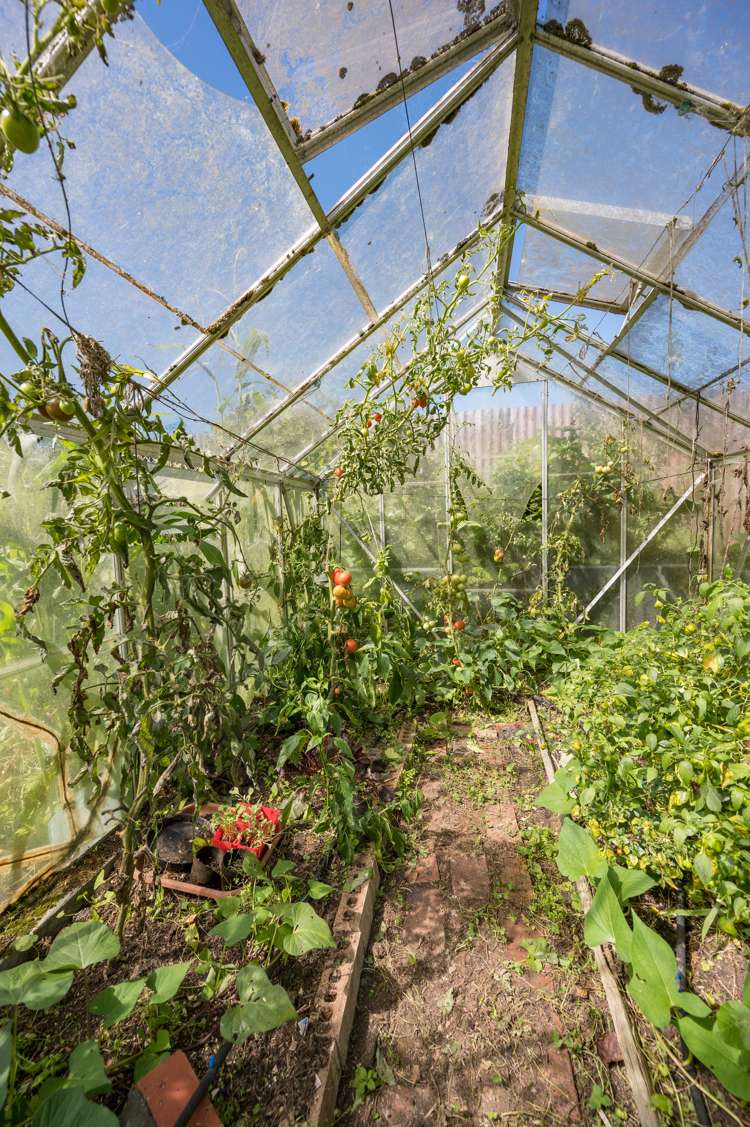 66 Wildman Road Motueka_59