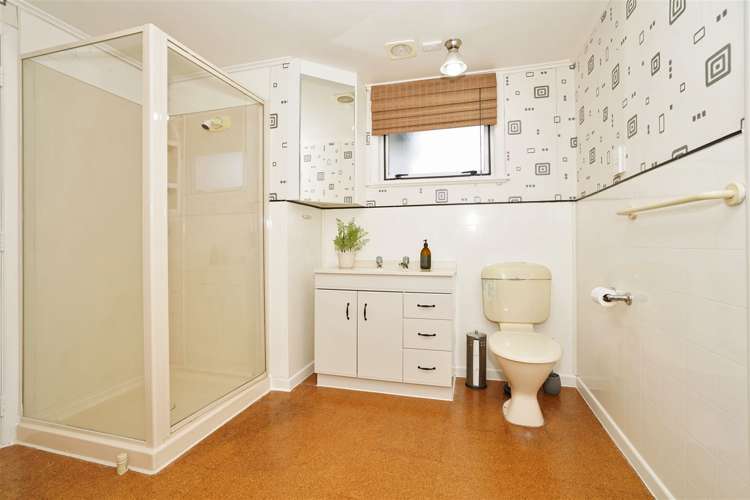 56 Waverley Road Gordonton_13