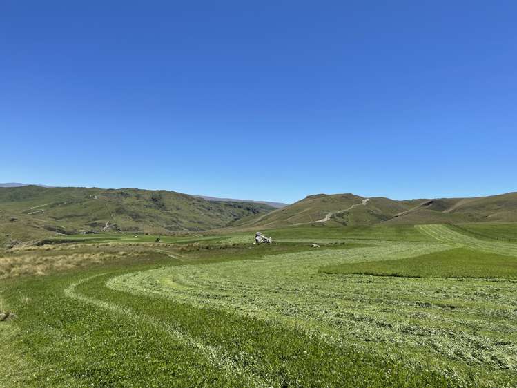 LEASE 540 Four Mile Road and 482 Longdale Road Hyde_1