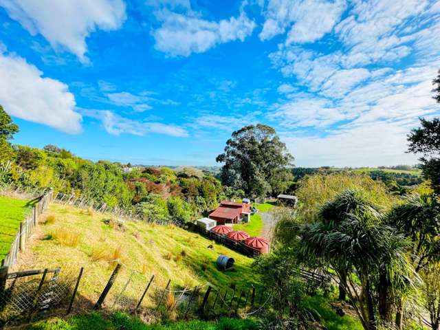 244 Trig Road Whitford_1