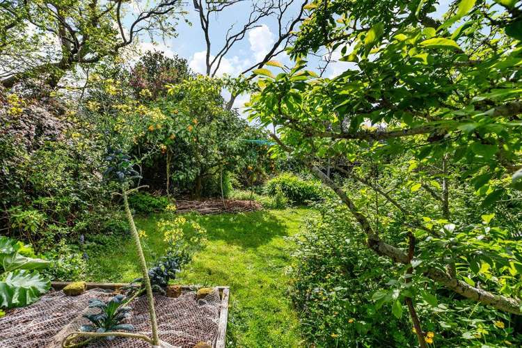 42 Galbraith Street Waihi_25