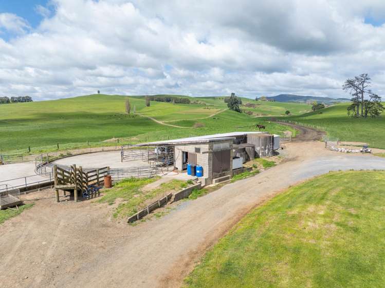 17 Chepmell Road Morrinsville_5