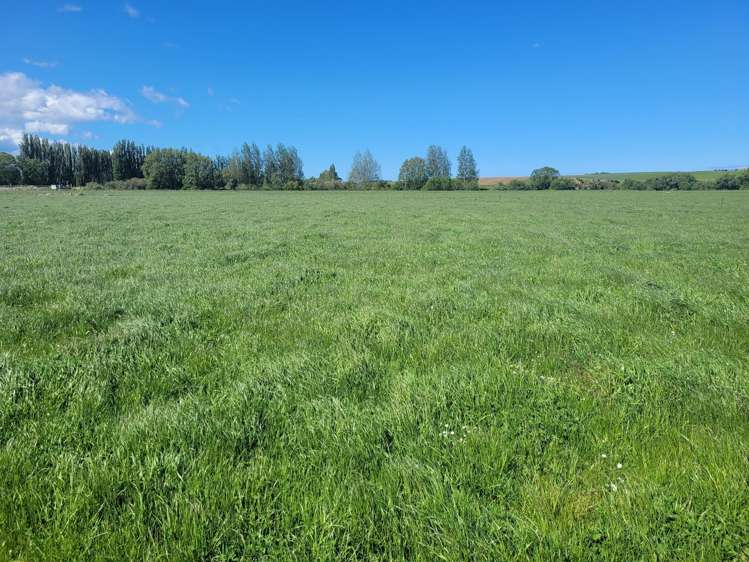 381 Island Stream Road Maheno_6