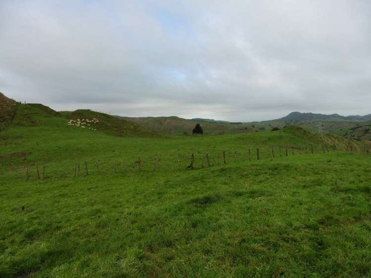 2837 State Highway 4 Aria_36