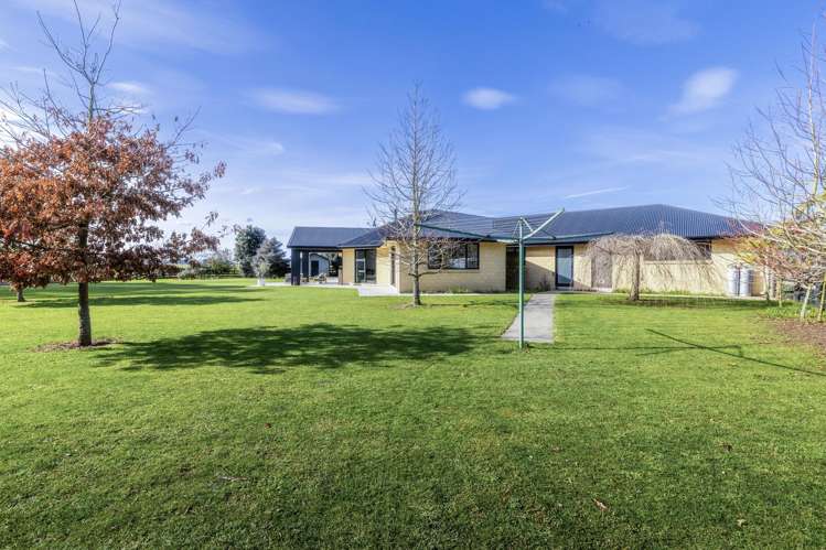 255 Calico Line Marton_43