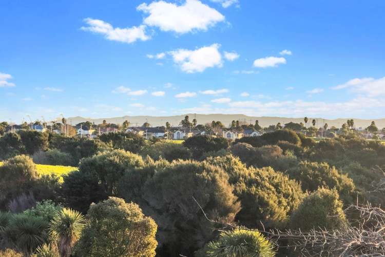 31 Haddington Drive Flat Bush_23