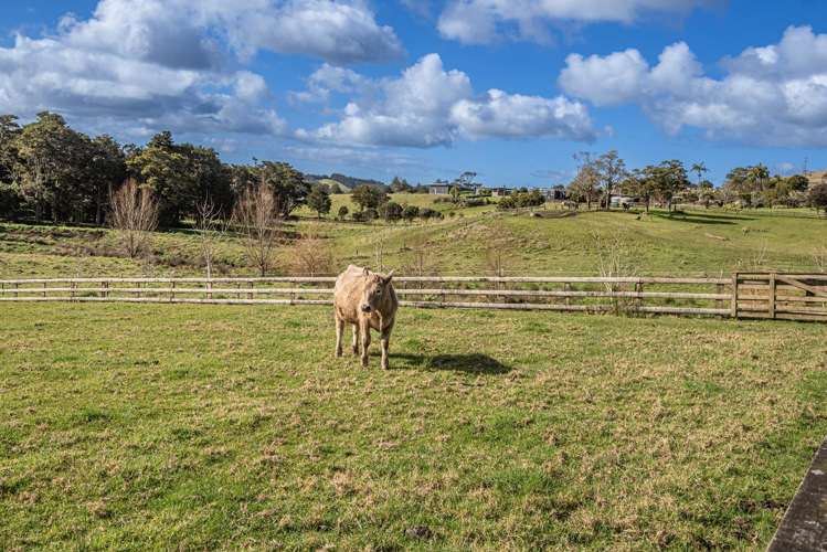 783 Whareora Road Whareora_40
