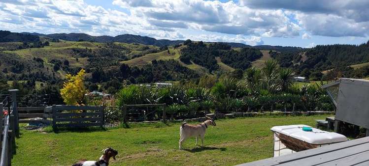 1264 Millbrook Road Otamatea Surrounds_15