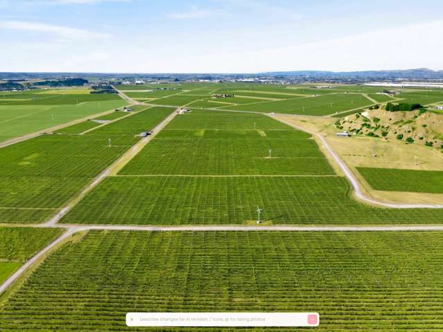2290 State Highway 50 Roys Hill_1