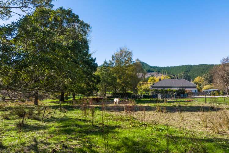 183 Onamalutu Road Wairau Valley_20