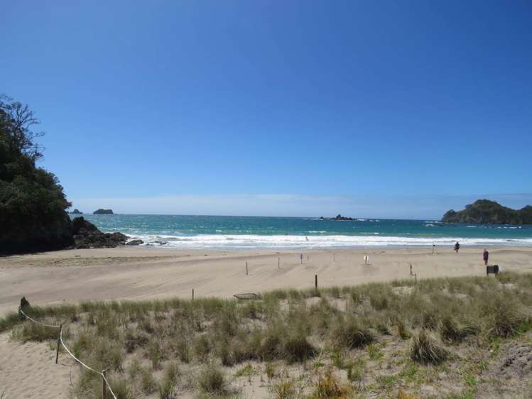 133 Rockell Road Whananaki_27