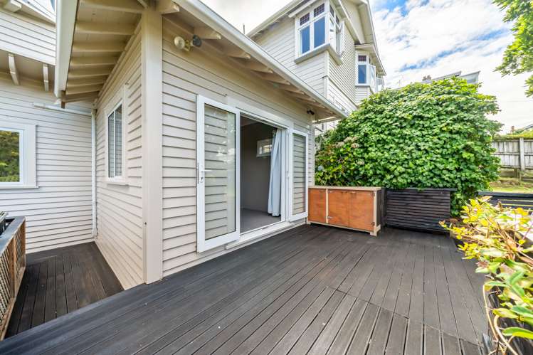 9 Mckenzie Terrace Te Aro_20