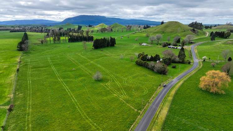 83 Brett Road Rerewhakaaitu_20