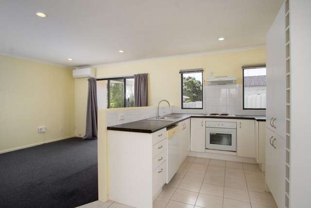 17A Vina Place Massey_2