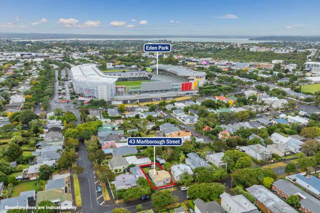 43 Marlborough Street Mt Eden_4