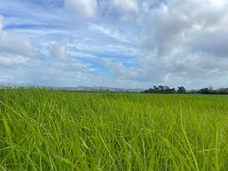 363 Matawai Road Waerenga A Hika_4