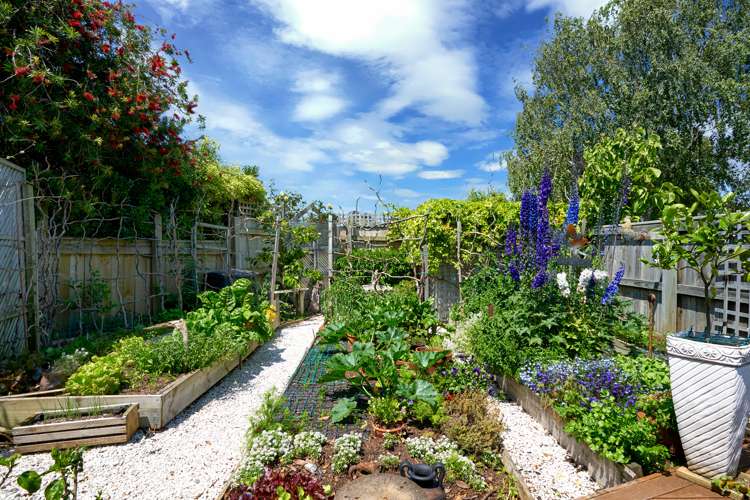 48 Georges Drive Napier South_14