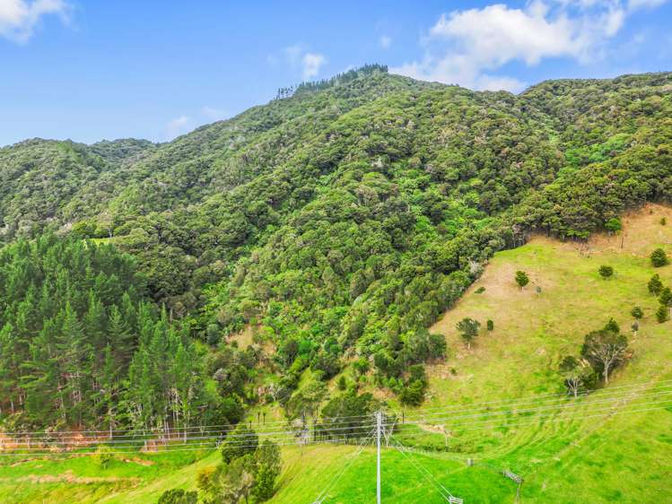 73 Turner Street Kaeo_29