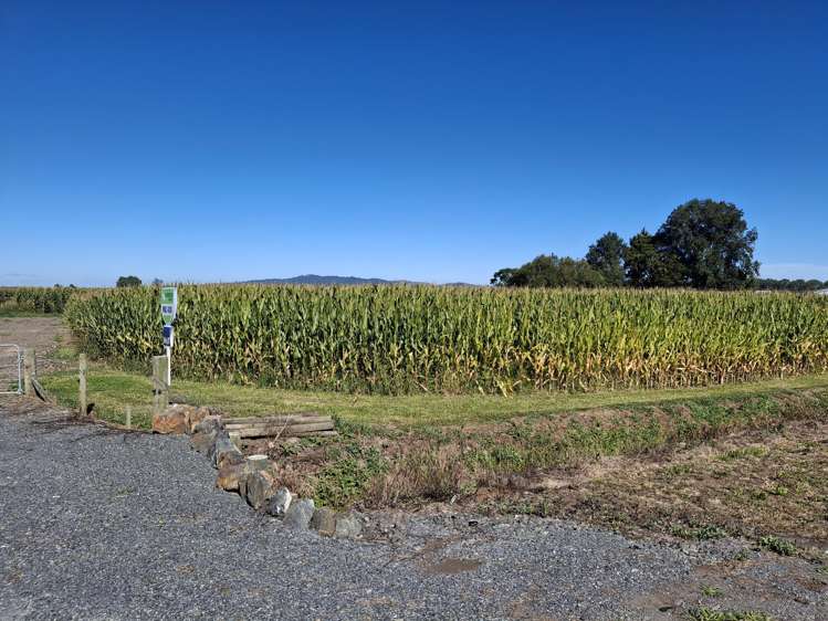 No 1 Road Springdale_7