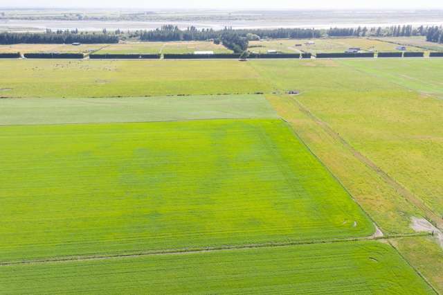 Lot 3 Acton Road Rakaia_3