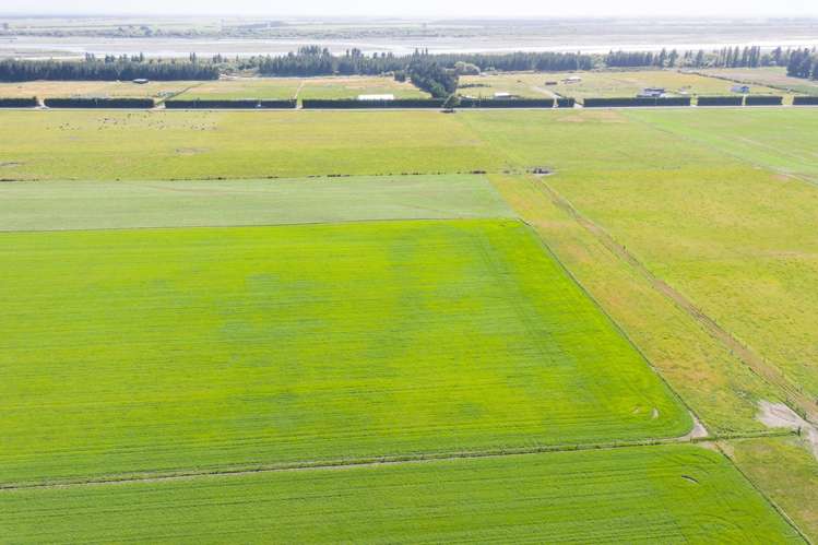 Lot 3 Acton Road Rakaia_3