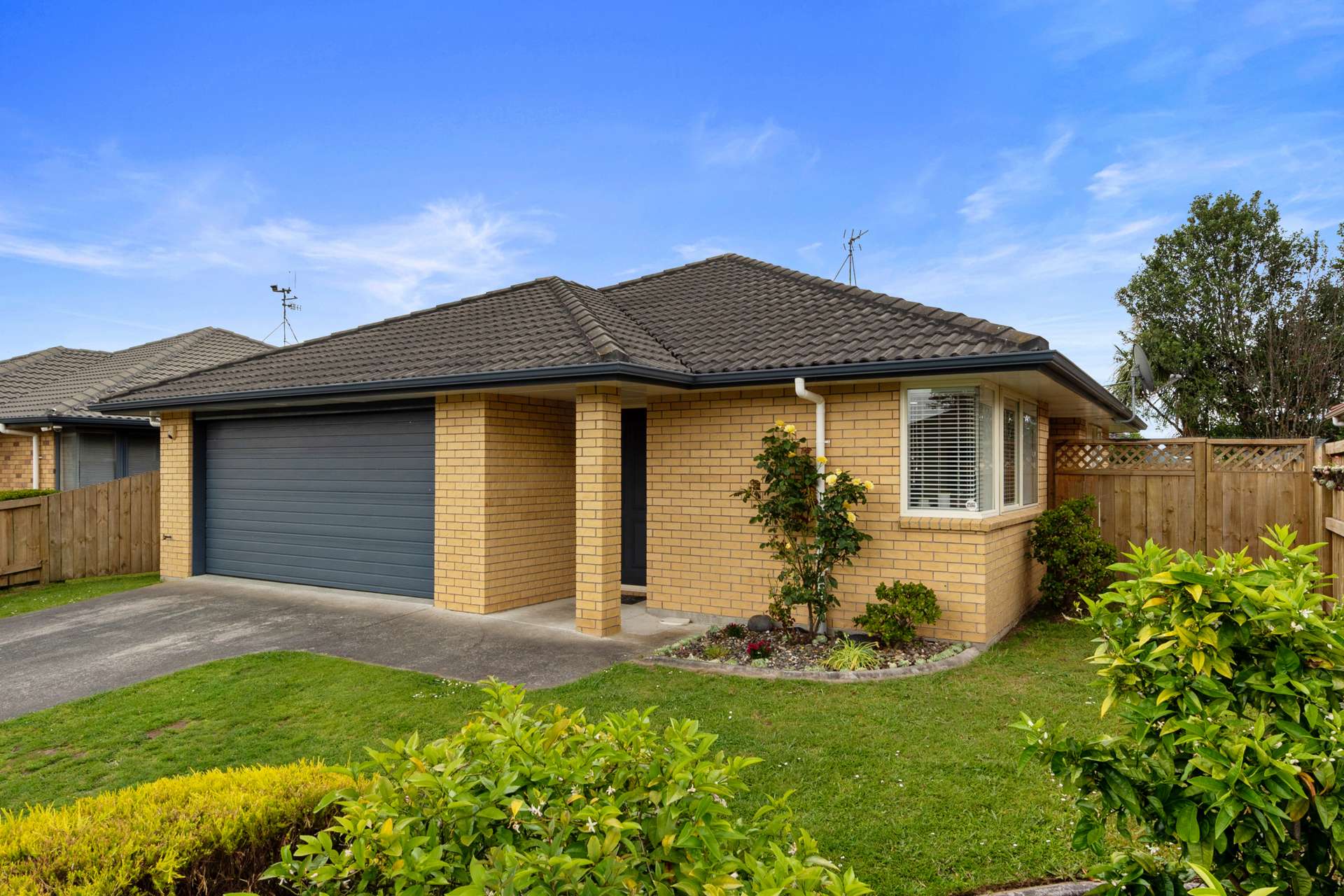 15 Earlswood Avenue Hamilton East_0