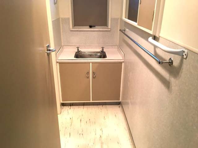 511a Featherston Street Roslyn_2