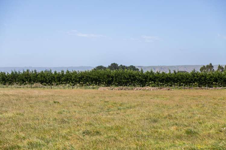 22 Spencer Lane Greytown_10