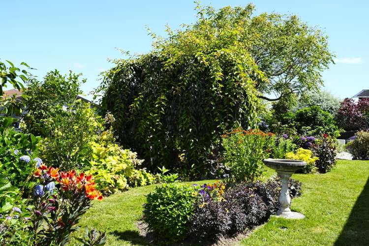 10 Kew Place Richmond Heights_18