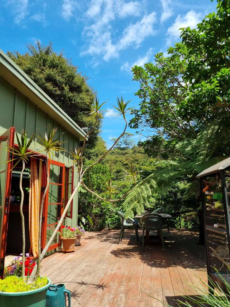 3 Nepean Avenue Orapiu_13