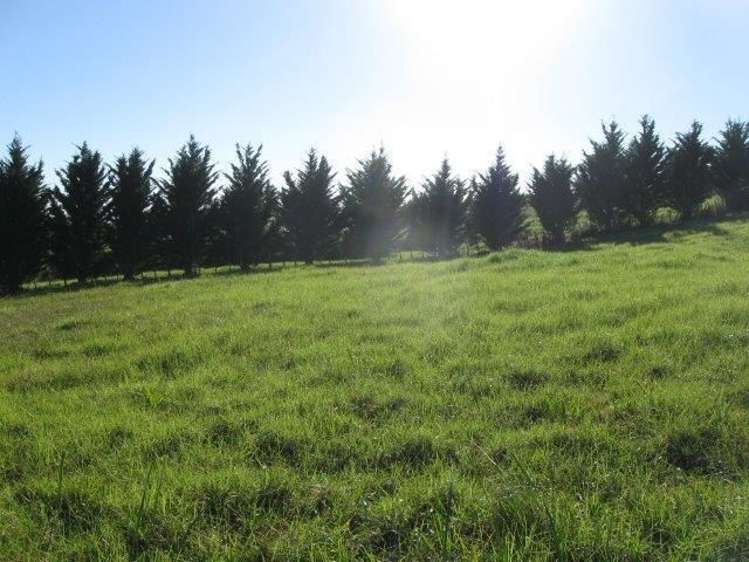 31 Pekama Drive Cable Bay_6