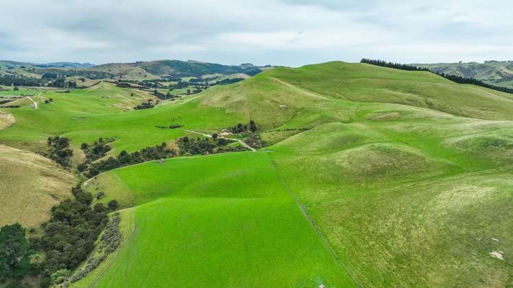 48 Heathfield Road Greta Valley_7