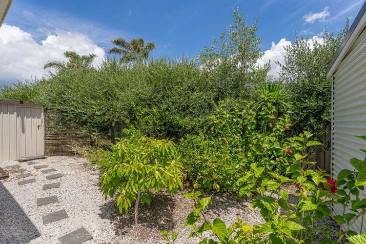 662 Matarangi Drive Matarangi_11