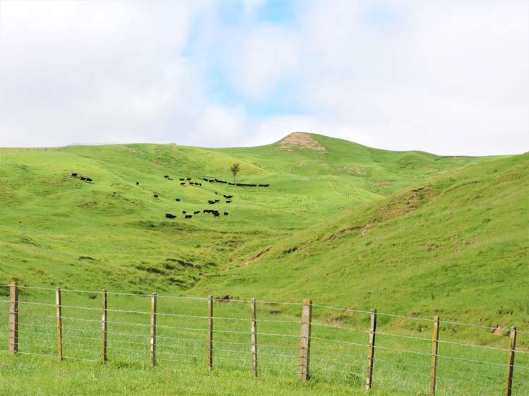 53 Jones Road Porangahau_17