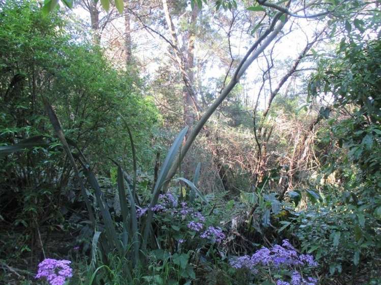 14 Kirkpatrick Street Kohukohu_7