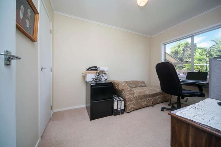 8 Palm Court Drive Glen Eden_10