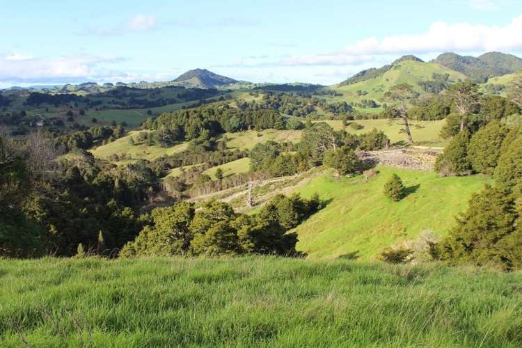 Pipiwai Road Ruatangata_7